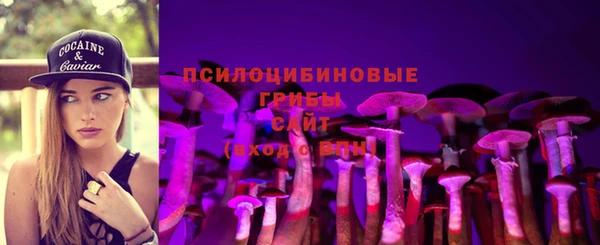 скорость Бронницы