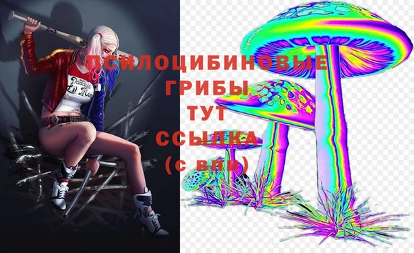 скорость Бронницы