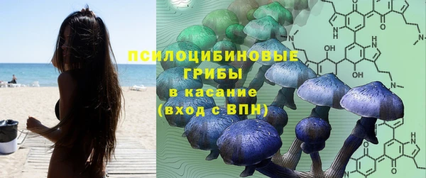 скорость Бронницы